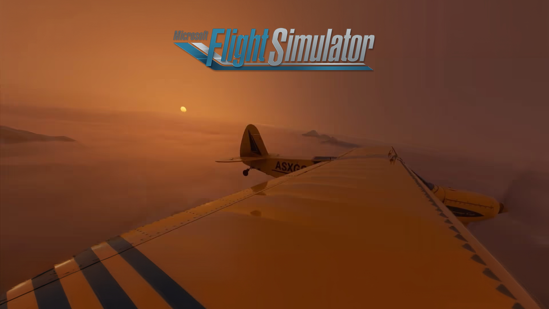 Flight Simulator